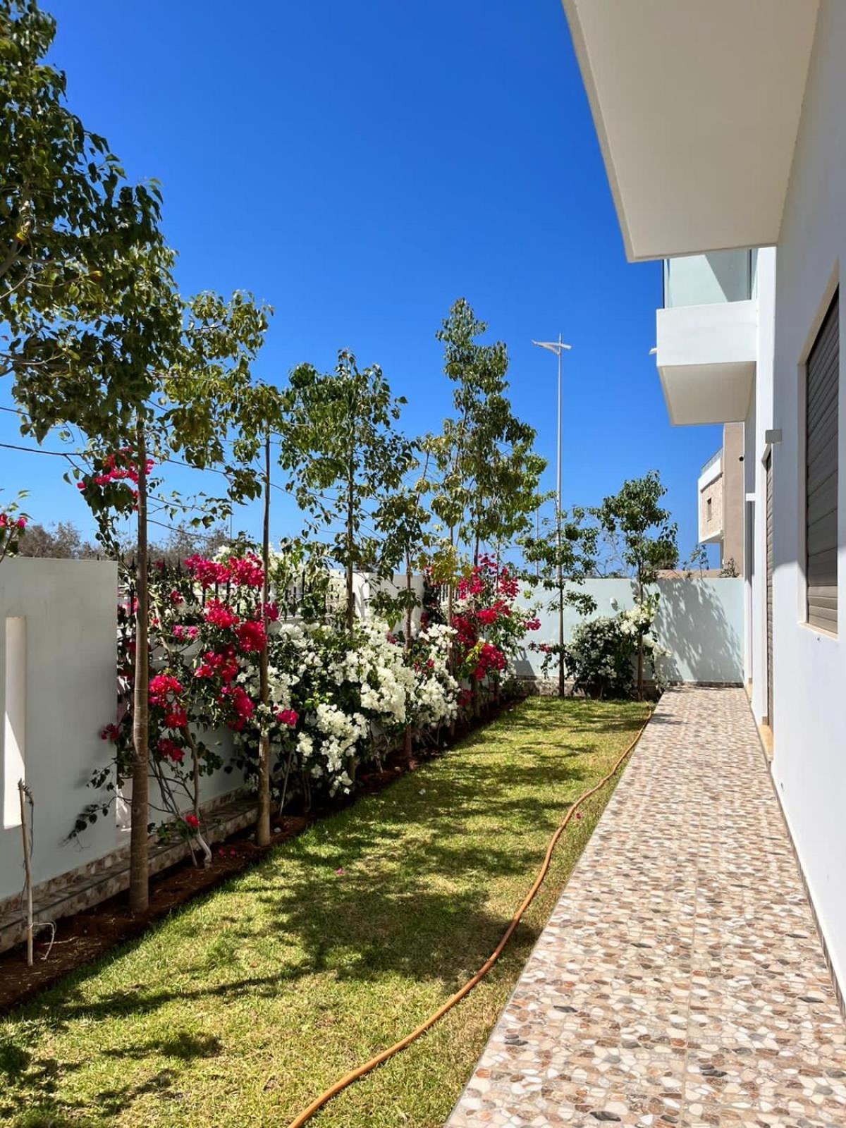 Villa Africa เอสเซาอิรา ภายนอก รูปภาพ